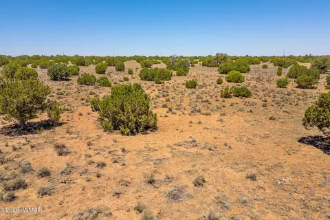 tbd County Road 8643, Concho, AZ 85924