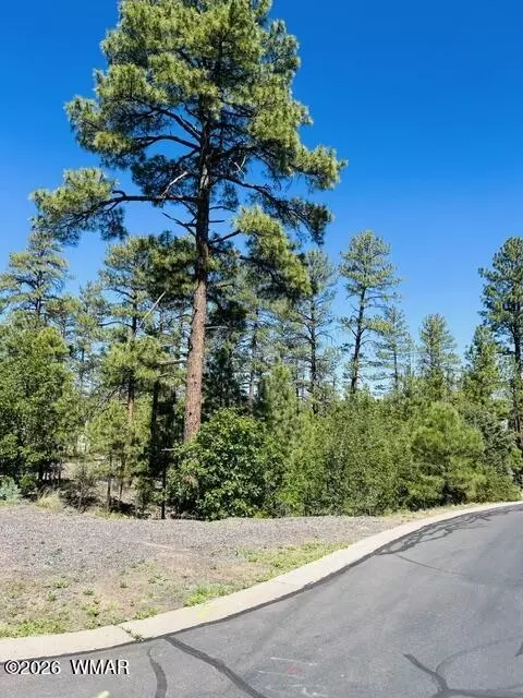 1900 S Silvertree Ln, Show Low, AZ 85901