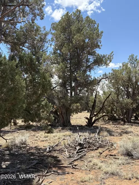 15 Pine Dr, Concho, AZ 85924 photo 2