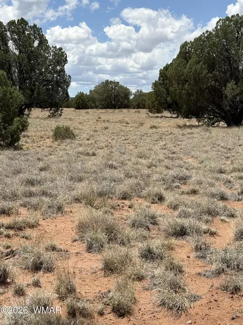15 Pine Dr, Concho, AZ 85924