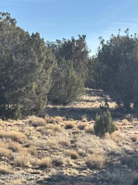 15 Pine Dr, Concho, AZ 85924 photo 3