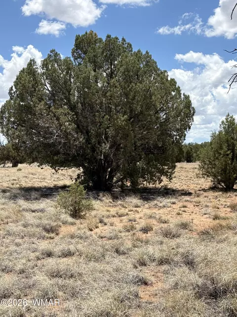 17 Pine Dr, Concho, AZ 85924