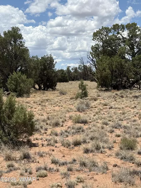 17 Pine Dr, Concho, AZ 85924 photo 2