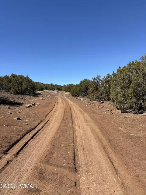 21 Pine Dr, Concho, AZ 85924 photo 3