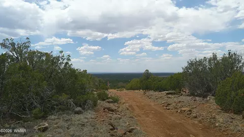 74 Co Rd, Concho, AZ 85924 photo 11