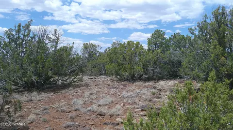 74 Co Rd, Concho, AZ 85924 photo 5