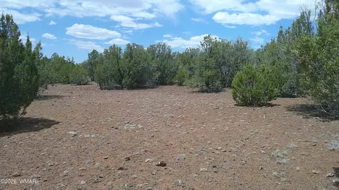 74 Co Rd, Concho, AZ 85924 photo 3