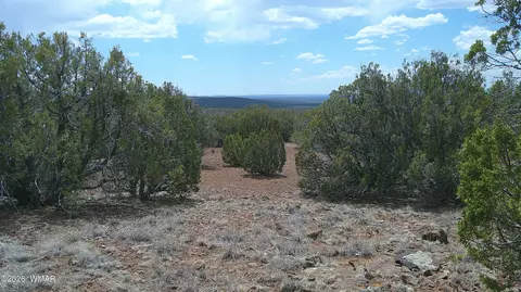74 Co Rd, Concho, AZ 85924 photo 6