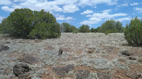74 Co Rd, Concho, AZ 85924 photo 10