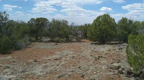 74 Co Rd, Concho, AZ 85924 photo 8