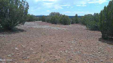 74 Co Rd, Concho, AZ 85924