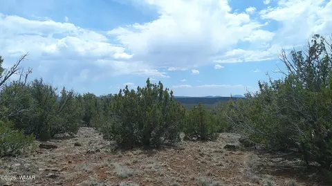 74 Co Rd, Concho, AZ 85924 photo 9
