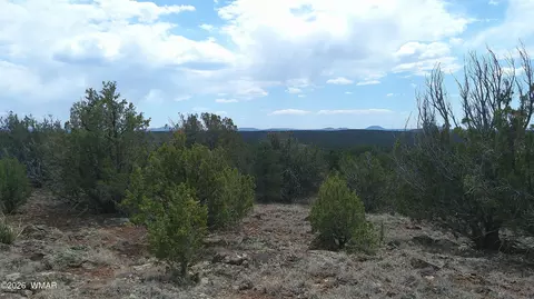74 Co Rd, Concho, AZ 85924 photo 2