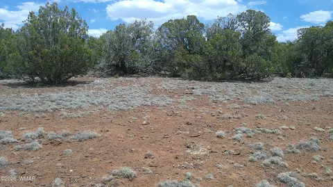74 Co Rd, Concho, AZ 85924 photo 4