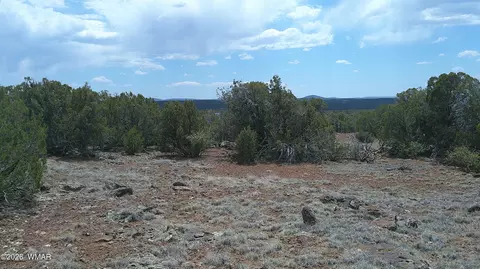 74 Co Rd, Concho, AZ 85924 photo 7