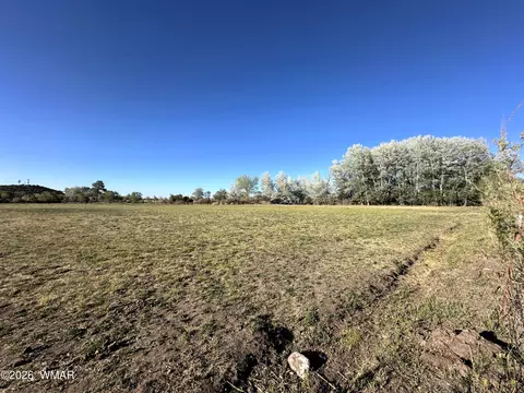 tbd W School Bus Rd, Eagar, AZ 85925 photo 6