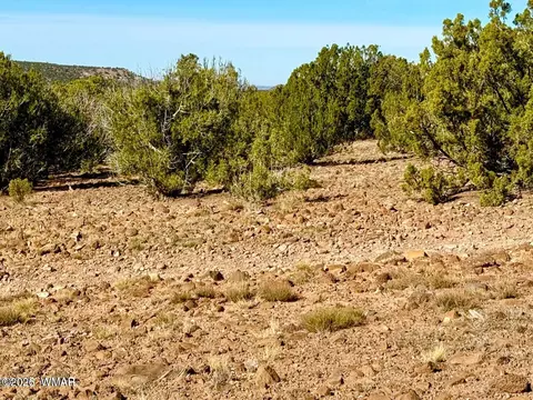 tbd Kirkwood Dr 20 Acres, Concho, AZ 85924 photo 16