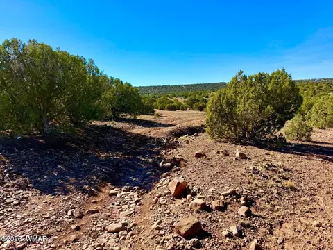 tbd Kirkwood Dr 20 Acres, Concho, AZ 85924 photo 8