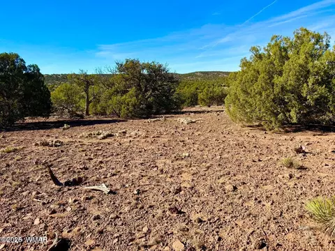 tbd Kirkwood Dr 20 Acres, Concho, AZ 85924 photo 12