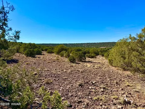 tbd Kirkwood Dr 20 Acres, Concho, AZ 85924 photo 6