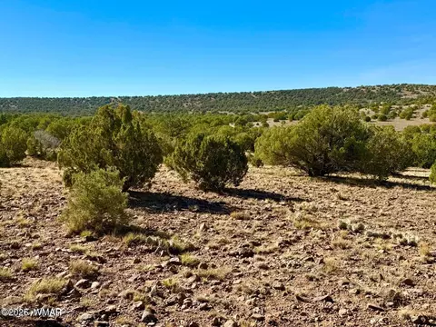 tbd Kirkwood Dr 20 Acres, Concho, AZ 85924 photo 5