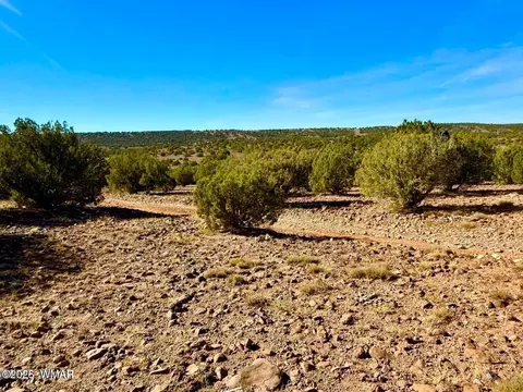 tbd Kirkwood Dr 20 Acres, Concho, AZ 85924 photo 18
