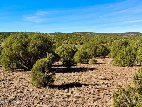tbd Kirkwood Dr 20 Acres, Concho, AZ 85924 photo 7