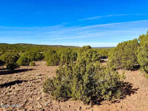 tbd Kirkwood Dr 20 Acres, Concho, AZ 85924 photo 10