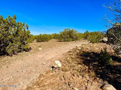 tbd Kirkwood Dr 20 Acres, Concho, AZ 85924 photo 19