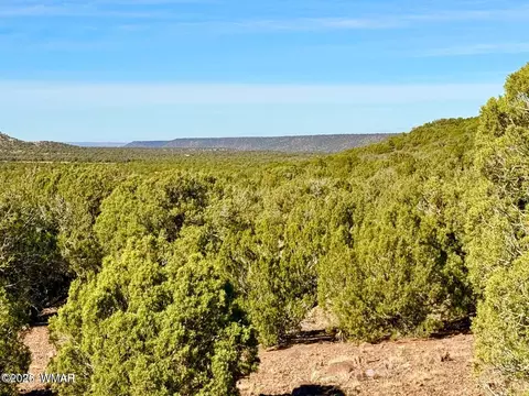 tbd Kirkwood Dr 20 Acres, Concho, AZ 85924