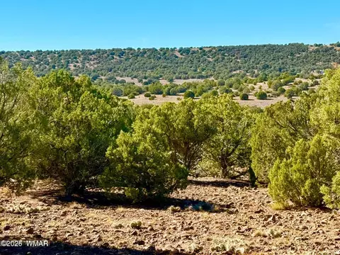 tbd Kirkwood Dr 20 Acres, Concho, AZ 85924 photo 14