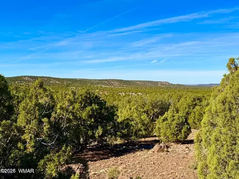 tbd Kirkwood Dr 20 Acres, Concho, AZ 85924 photo 2