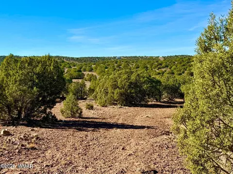 tbd Kirkwood Dr 20 Acres, Concho, AZ 85924 photo 22
