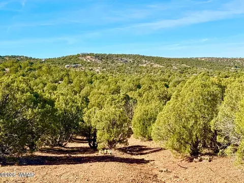 tbd Kirkwood Dr 20 Acres, Concho, AZ 85924 photo 24