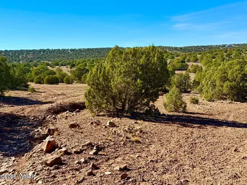 tbd Kirkwood Dr 20 Acres, Concho, AZ 85924 photo 21