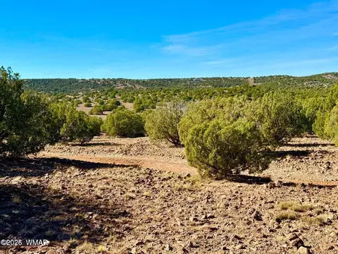 tbd Kirkwood Dr 20 Acres, Concho, AZ 85924 photo 17