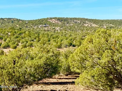 tbd Kirkwood Dr 20 Acres, Concho, AZ 85924 photo 4