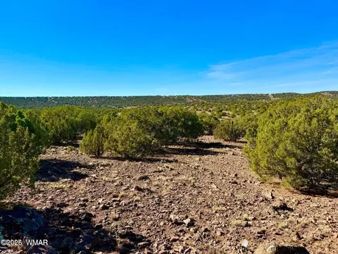 tbd Kirkwood Dr 20 Acres, Concho, AZ 85924 photo 13