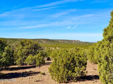 tbd Kirkwood Dr 20 Acres, Concho, AZ 85924 photo 9
