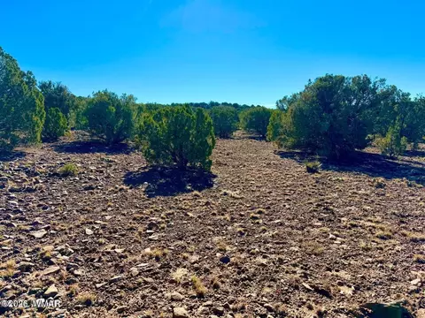 tbd Kirkwood Dr 20 Acres, Concho, AZ 85924 photo 15