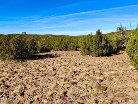tbd Kirkwood Dr 20 Acres, Concho, AZ 85924 photo 11