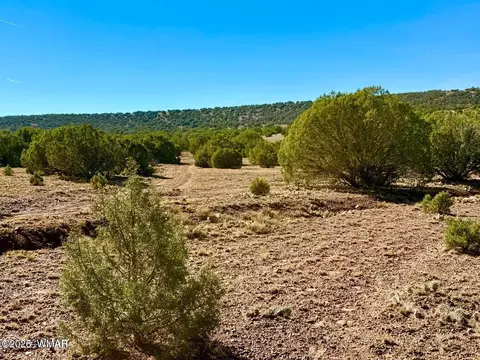 tbd Kirkwood Dr 20 Acres, Concho, AZ 85924 photo 23