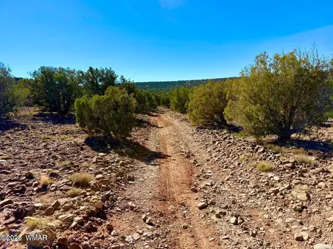 tbd Kirkwood Dr 20 Acres, Concho, AZ 85924 photo 20