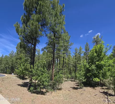 1412 Big Springs Trl, Lakeside, AZ 85929