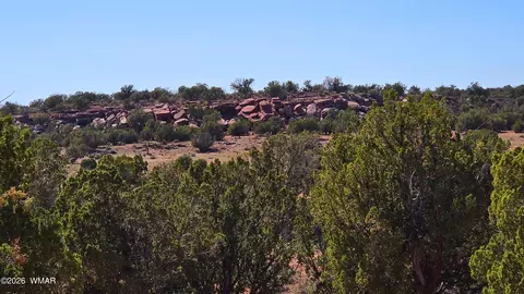 9880 Texas Ln, Show Low, AZ 85901