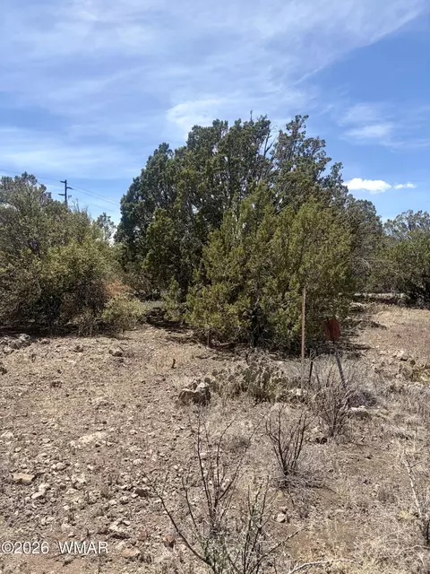 8301 Ridge Dr, Show Low, AZ 85901