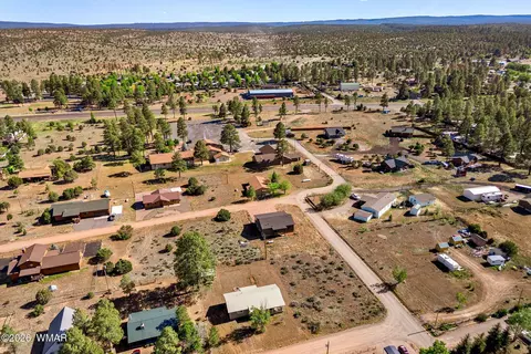 View/Area - 2202 Page Dr, Overgaard, AZ 85933 photo 4 of 6
