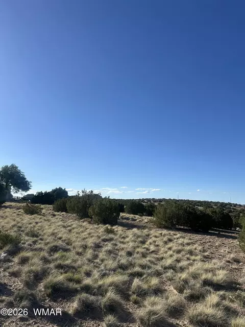 31 Mesquite Dr, Concho, AZ 85924