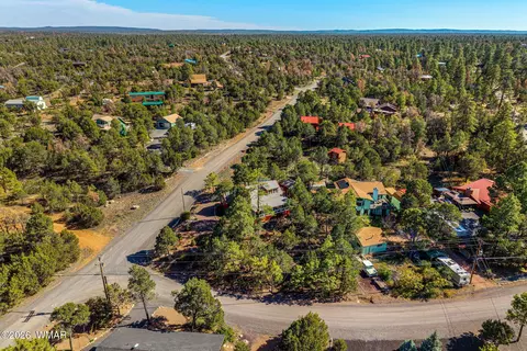 View/Area - 3370 Turkey Run, Overgaard, AZ 85928 photo 3 of 4