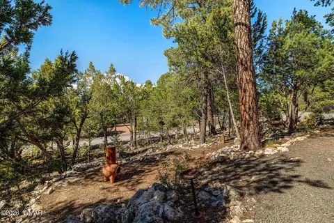 Exterior - 3370 Turkey Run, Overgaard, AZ 85928 photo 6 of 9